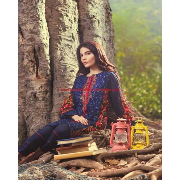 Salwar Kameez-US1527